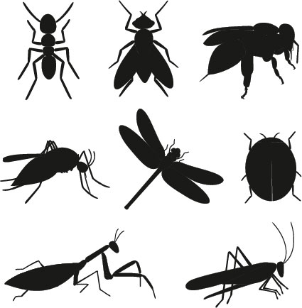 укусы насекомых - причины аллергической сыпи на животе у ребенка