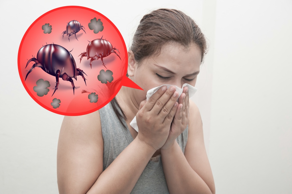 Аллергия на пылевого клеща, лечение, симптомы, фото