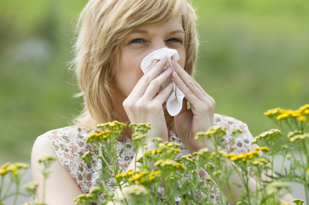 симптомы аллергии на растения, фото