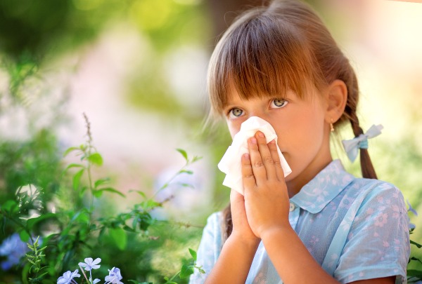 Аллергия на вишню:першение в горле, чихание, насморк, фото